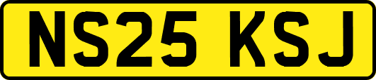 NS25KSJ