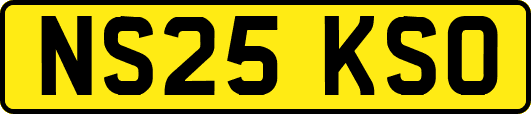NS25KSO