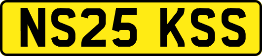 NS25KSS