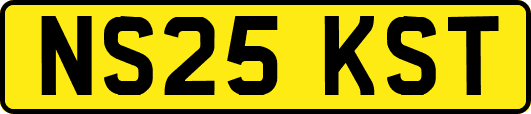 NS25KST