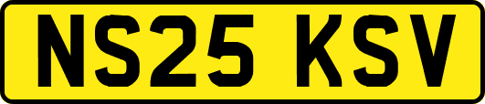 NS25KSV