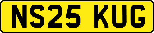 NS25KUG