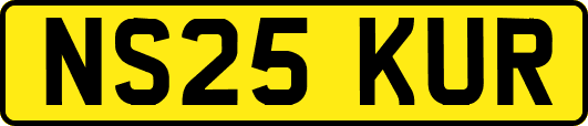 NS25KUR