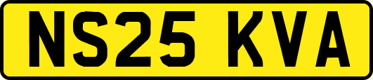 NS25KVA