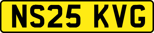 NS25KVG