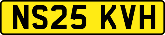 NS25KVH