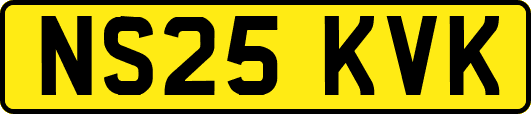 NS25KVK