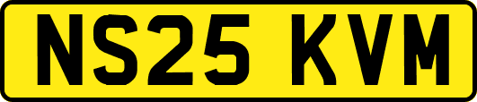 NS25KVM