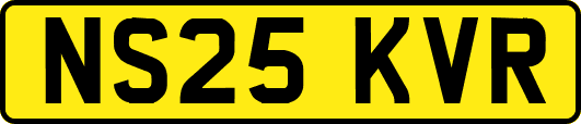 NS25KVR