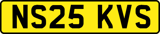 NS25KVS