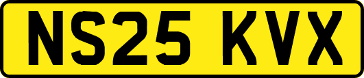NS25KVX