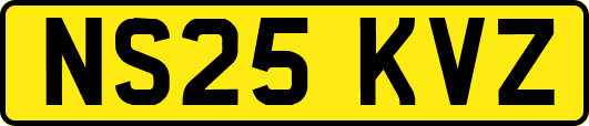 NS25KVZ