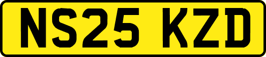 NS25KZD