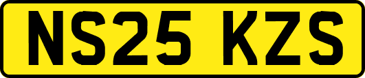 NS25KZS