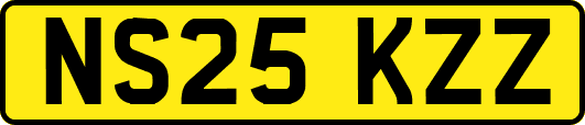 NS25KZZ