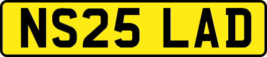 NS25LAD