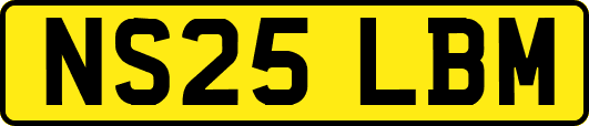 NS25LBM