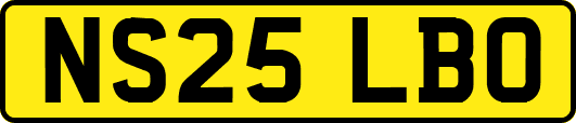 NS25LBO