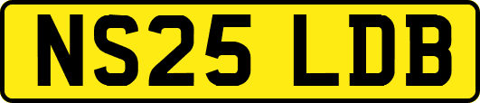 NS25LDB
