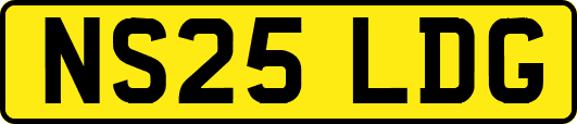 NS25LDG