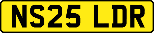 NS25LDR