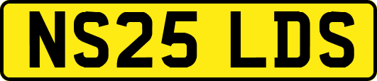 NS25LDS