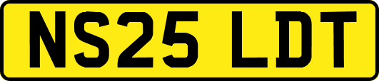 NS25LDT