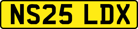 NS25LDX
