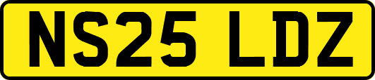 NS25LDZ