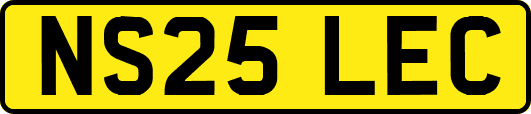 NS25LEC