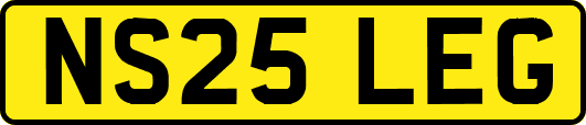 NS25LEG