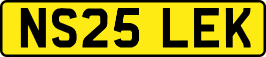 NS25LEK