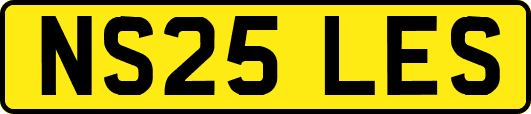 NS25LES