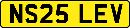 NS25LEV