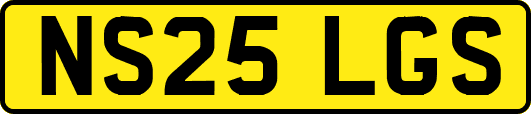 NS25LGS