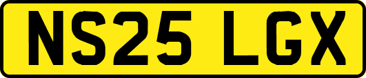 NS25LGX