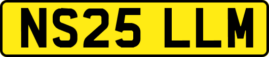 NS25LLM