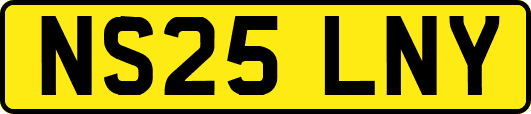 NS25LNY