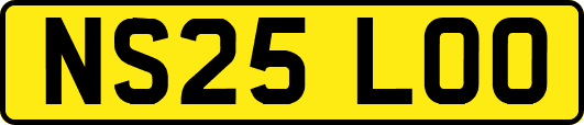 NS25LOO