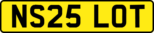NS25LOT