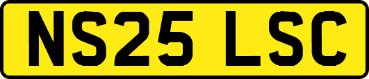 NS25LSC