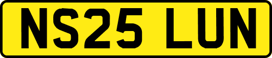 NS25LUN