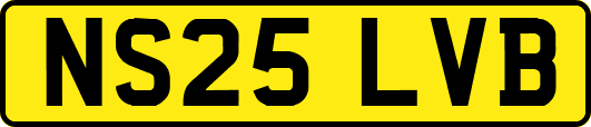 NS25LVB