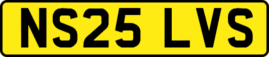 NS25LVS