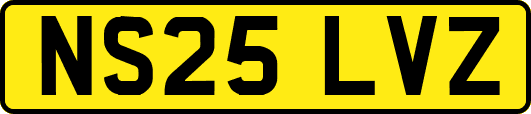 NS25LVZ