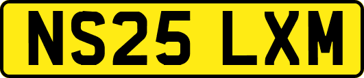 NS25LXM