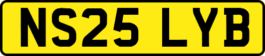 NS25LYB