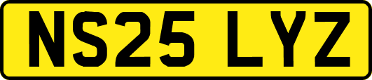 NS25LYZ