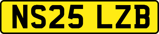 NS25LZB