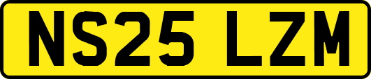 NS25LZM